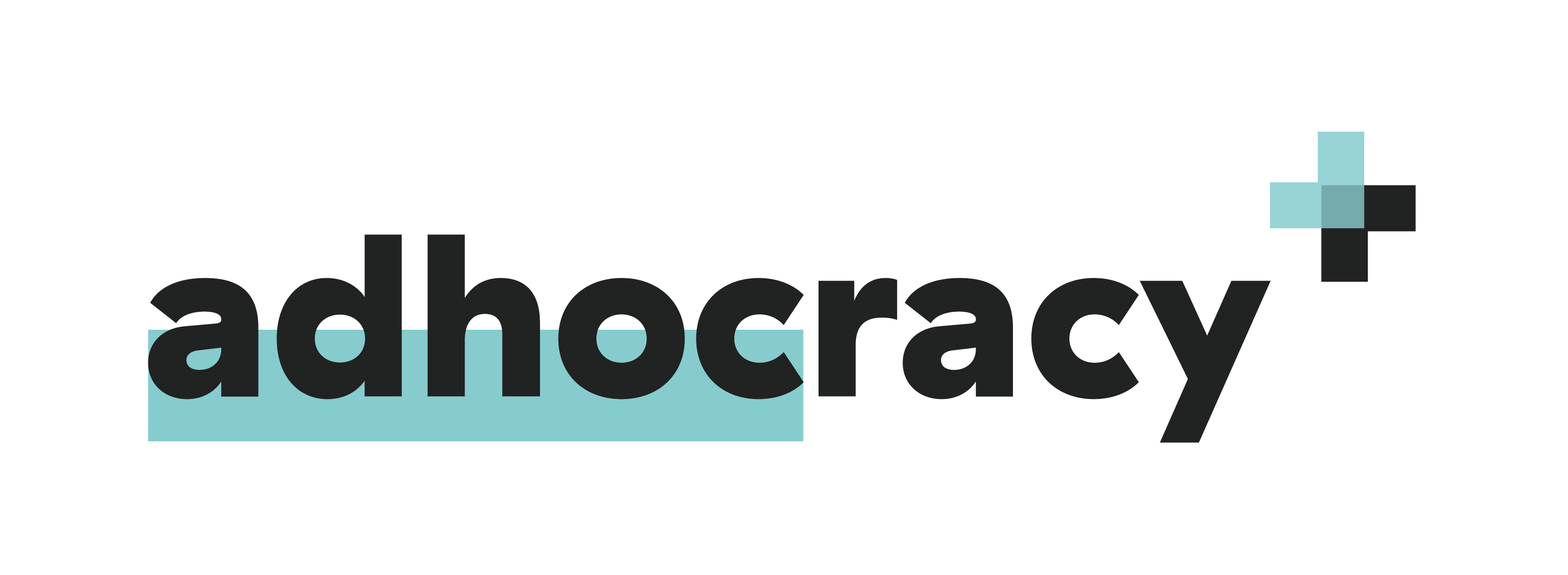 Logo adhocracy plus